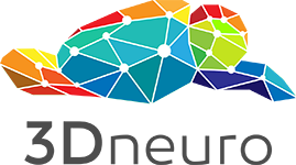 3Dneuro