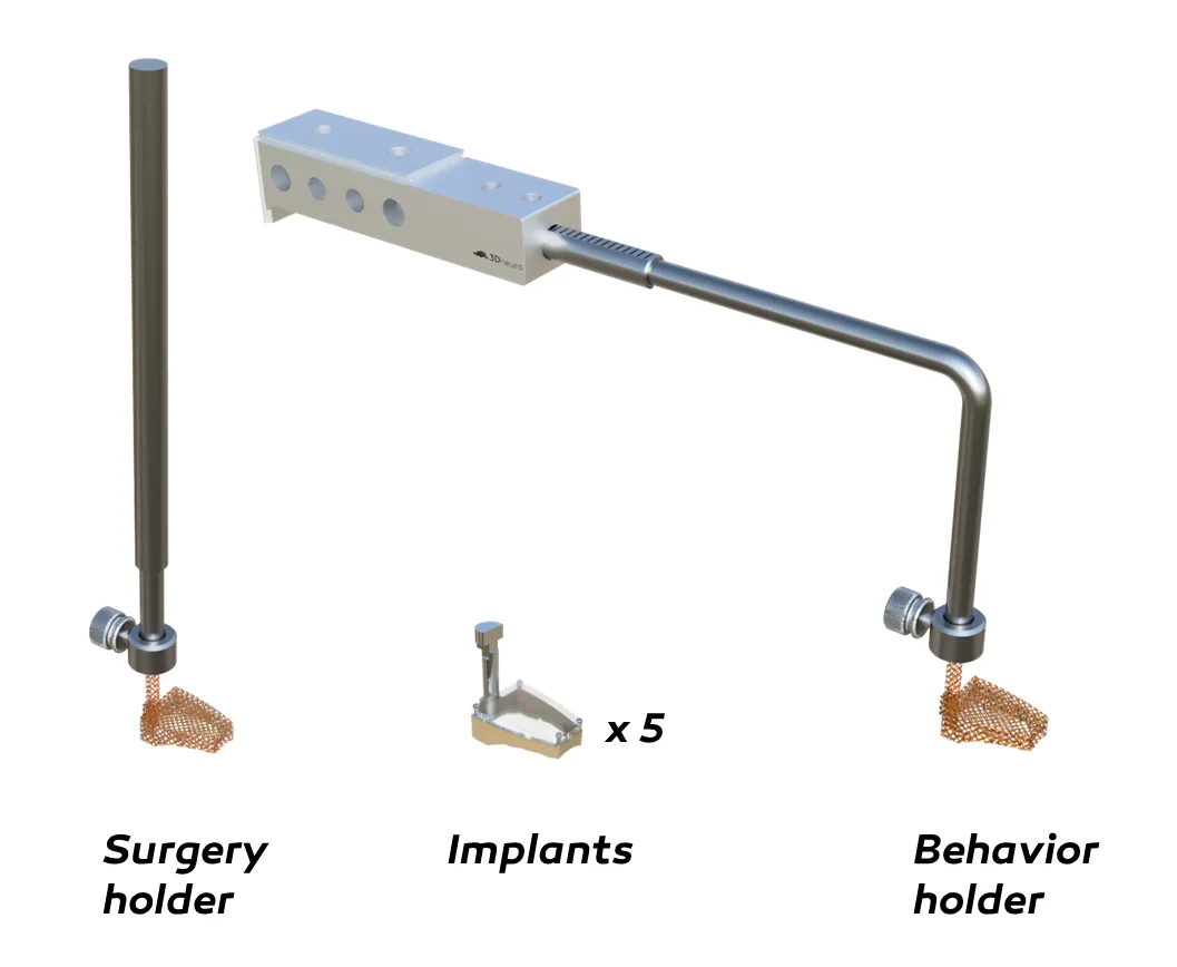 REMY head-fixed behaviour system