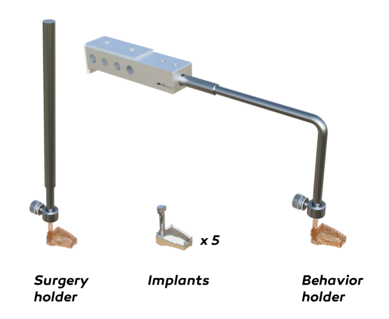 REMY Head-fixed behavior system for rats